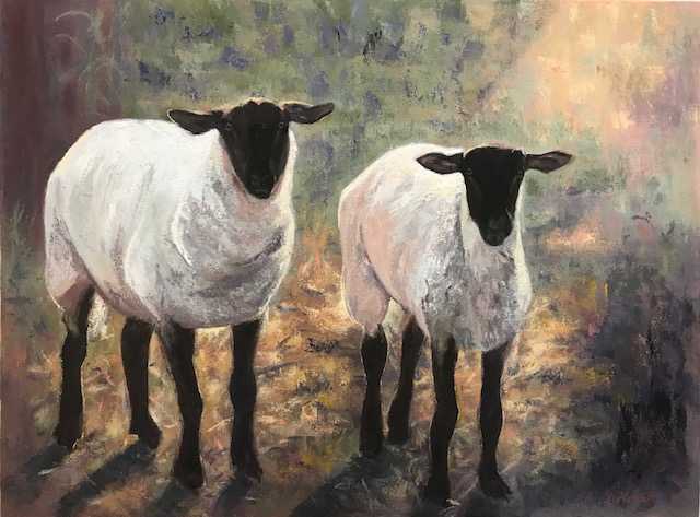 Sunlit Sheep